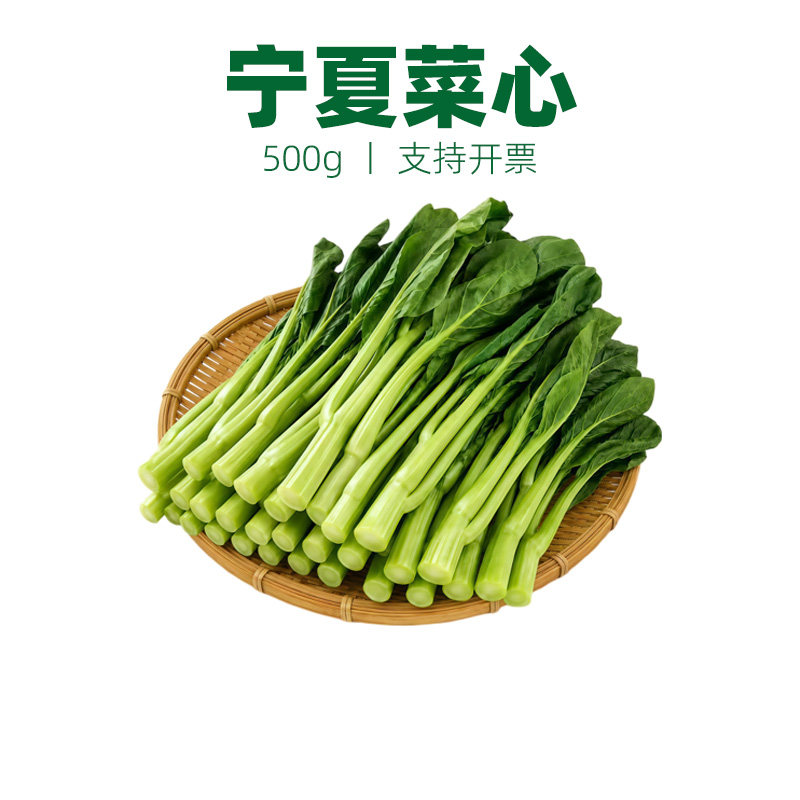 新鲜宁夏菜心500g正宗菜苔时令蔬菜供港菜王小青菜水白菜花