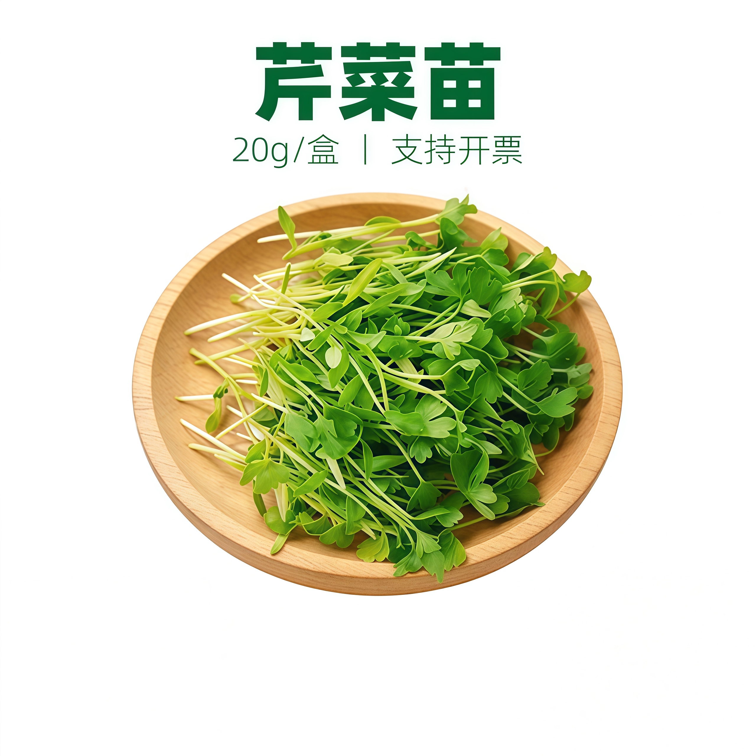 芹菜苗三叶香香芹苗西芹苗可食用