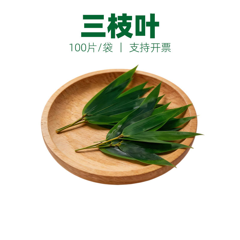 三支叶凤尾竹小竹叶摆盘装饰