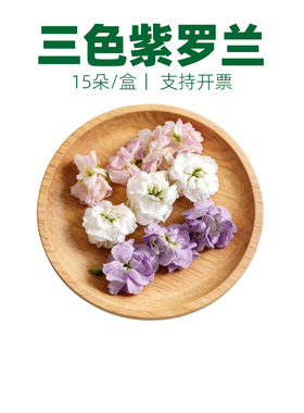新鲜多色罗兰花紫粉白色 酒店宴会西餐摆盘蛋糕烘焙装饰冷艺花草