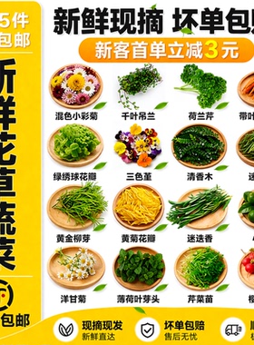 摆盘装饰花草新鲜三色堇食用花清香木黄金柳芽绿绣球薄荷叶千叶兰