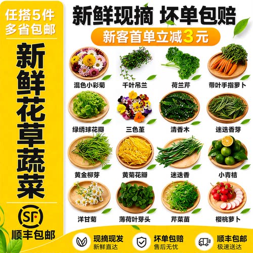 各种摆盘花草香料大全