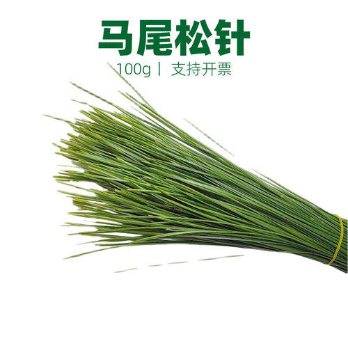 大松针马尾松黑松摆盘装饰