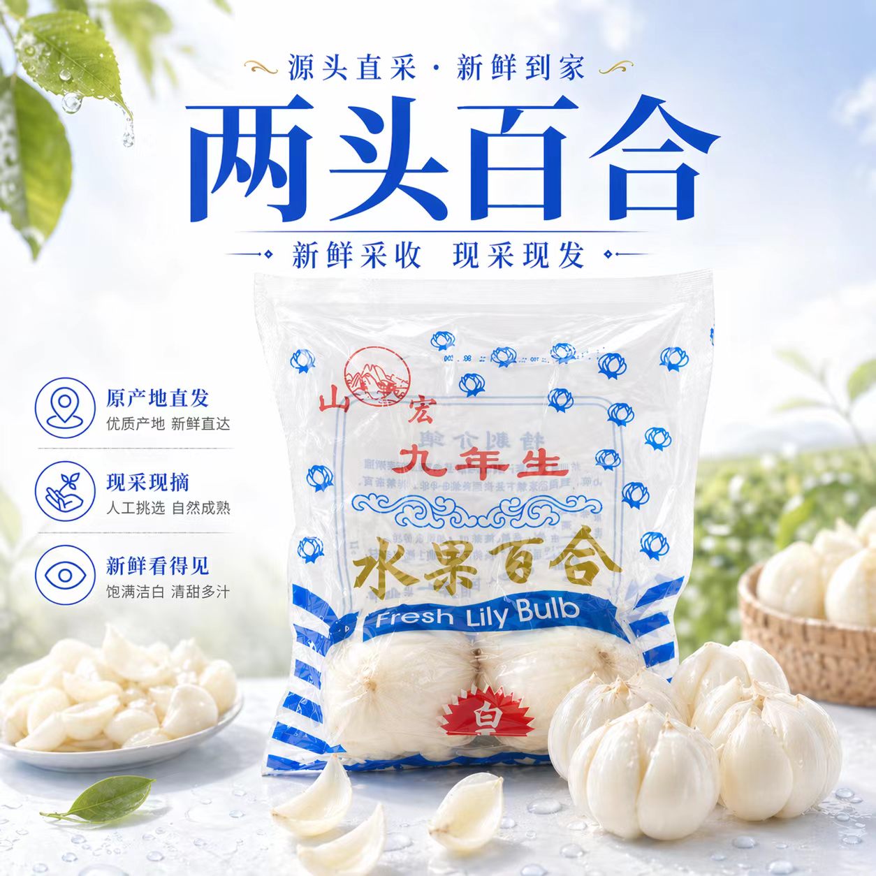 新鲜九年生兰州 二头皇百合新挖甜百合食用甘肃特产非干货特级生