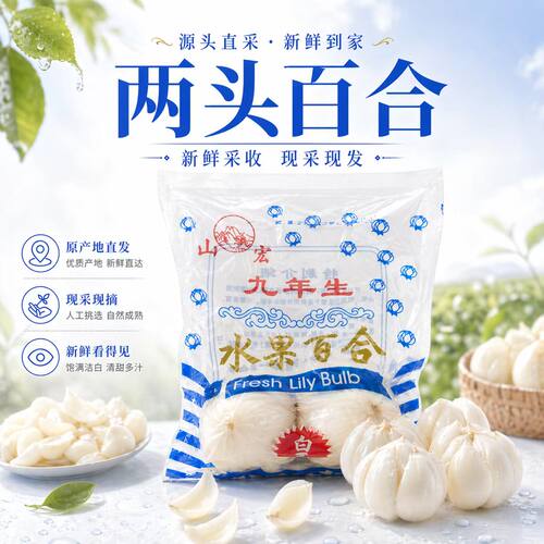 新鲜九年生兰州 二头皇百合新挖甜百合食用甘肃特产非干货特级生
