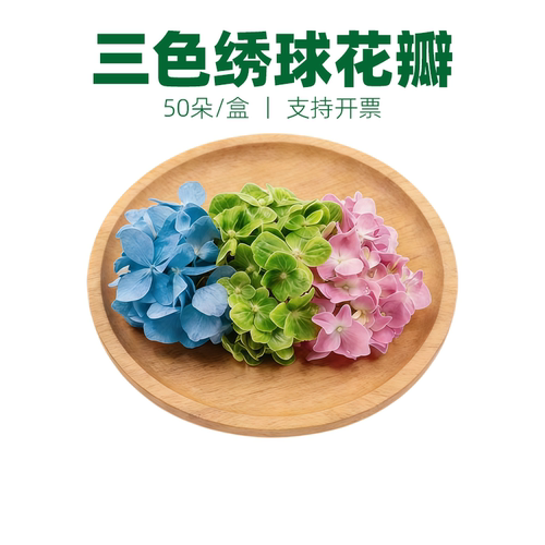三色绣球花瓣可食用花草