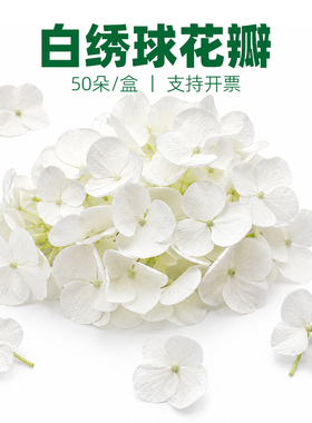 新鲜白色绣球花瓣 食用装饰西餐甜品蛋糕摆盘日料冷菜点缀小白花