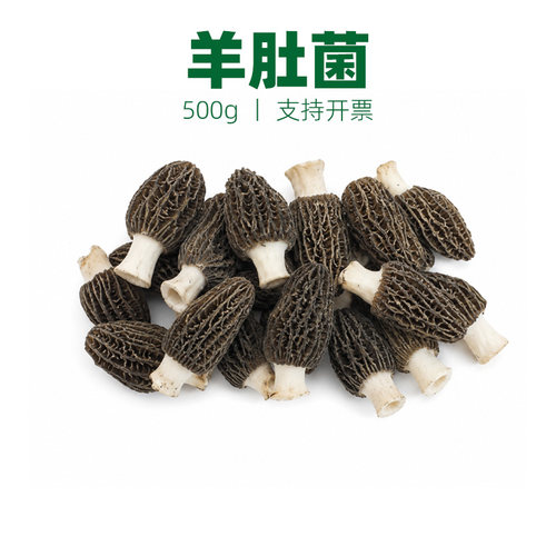 新鲜羊肚菌食用菇蘑菇高山羊肚菌羊肚菇羊蘑煲汤食材顺丰发货