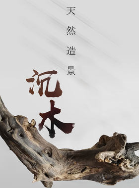 天然枯木空气凤梨底座支架攀爬