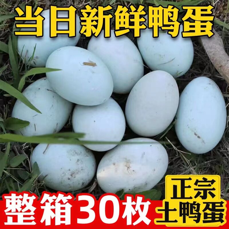 正宗农家散养新鲜大个鸭蛋整箱30枚生鸭蛋土鸭蛋放养青壳鸭蛋新鲜