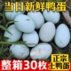 正宗农家散养新鲜大个鸭蛋整箱30枚生鸭蛋土鸭蛋放养青壳鸭蛋新鲜
