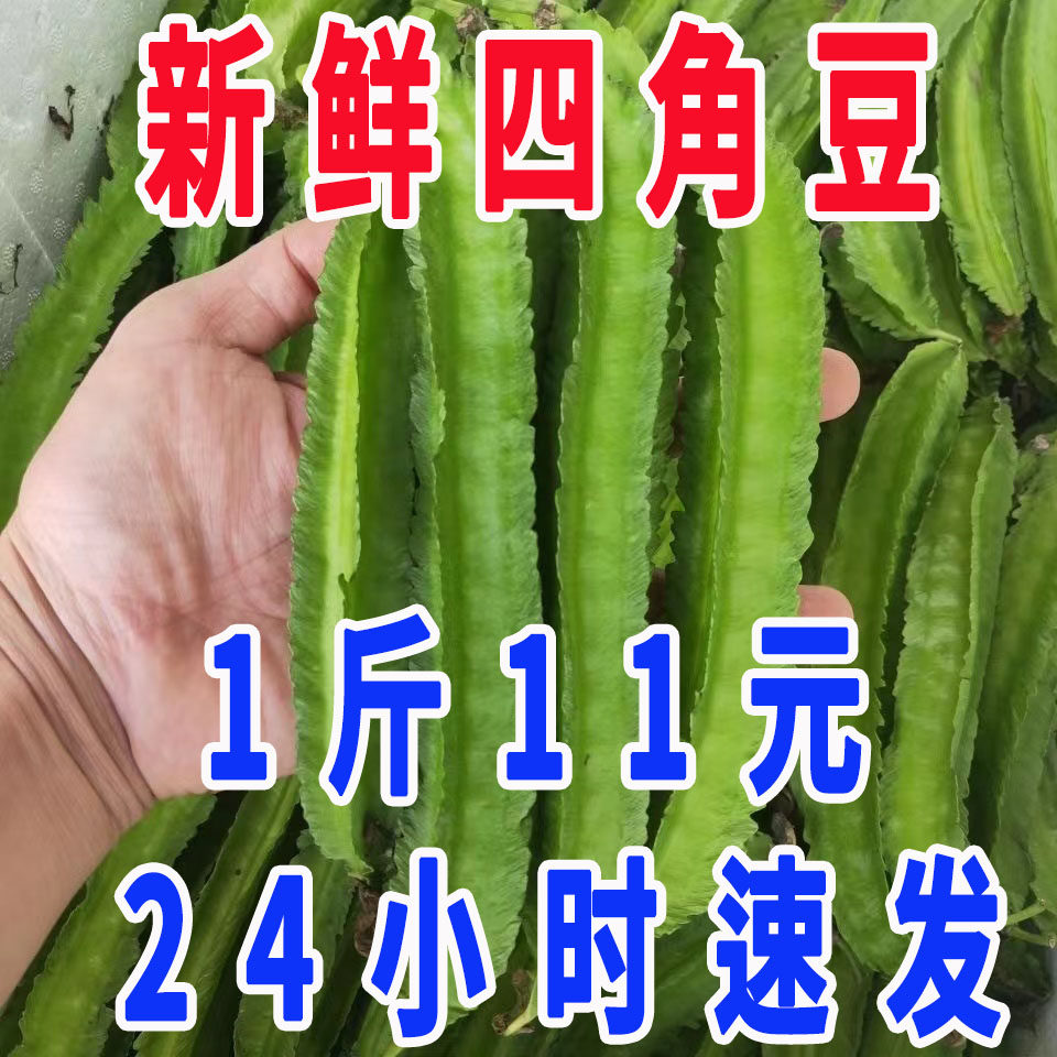 海南四棱豆四角豆新鲜包邮杨桃龙豆绿心当季特产皇帝豆蔬菜整箱