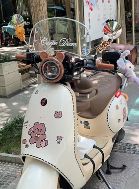 小牛电动车椭圆挡风板爱玛雅摩登q50晴天九号复古电瓶车改装配件