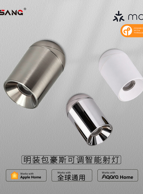 Matter Thread中古包豪斯明装智能射灯全光谱玄关背景墙调角射灯