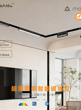 苹果智能Matter轨道灯白色黑色V1绿米超薄明装磁吸轨道灯homekit