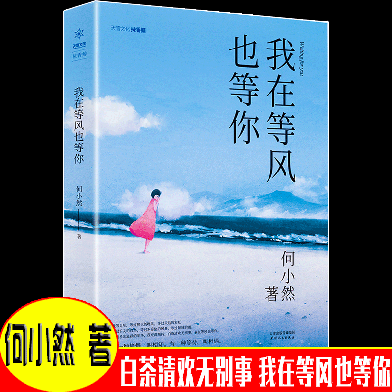 包邮正版我在等风也在等你青春言情小说白茶清欢无别事情感故事作家何小然诚意之作都市言情大声爱情小说青春文学畅销排行榜