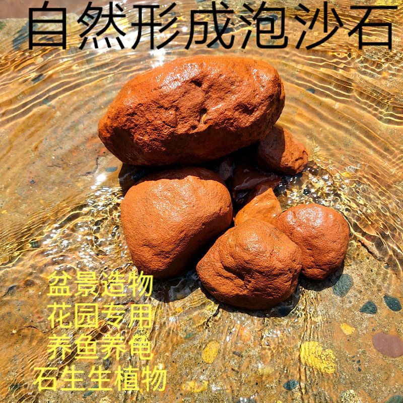 纯天然沙形成红泡石 盆景装饰点缀石块 菖蒲营养石 吸水石石斛石