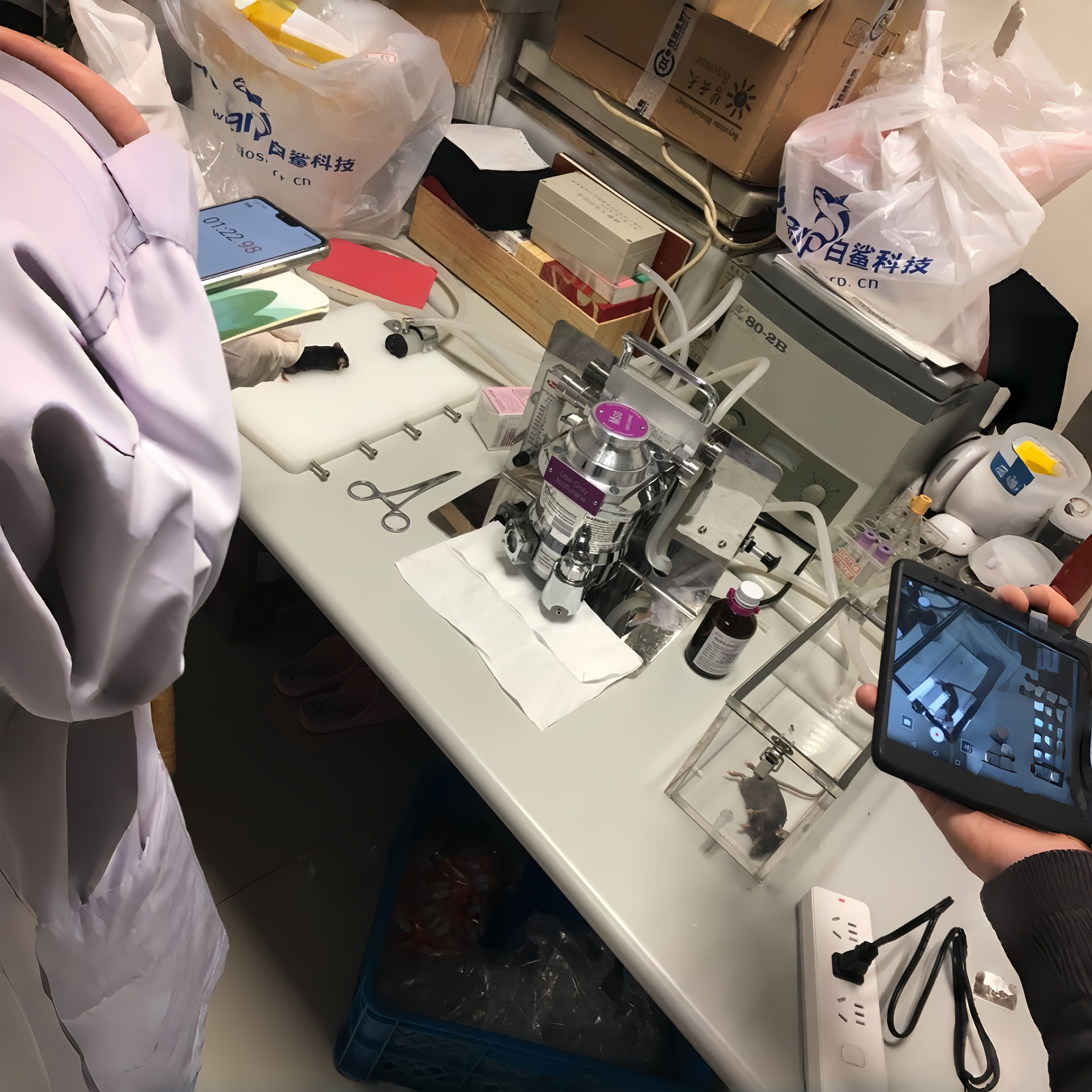 小动物呼吸麻醉机  Isoflurane异氟烷大鼠麻醉机 小鼠麻醉机