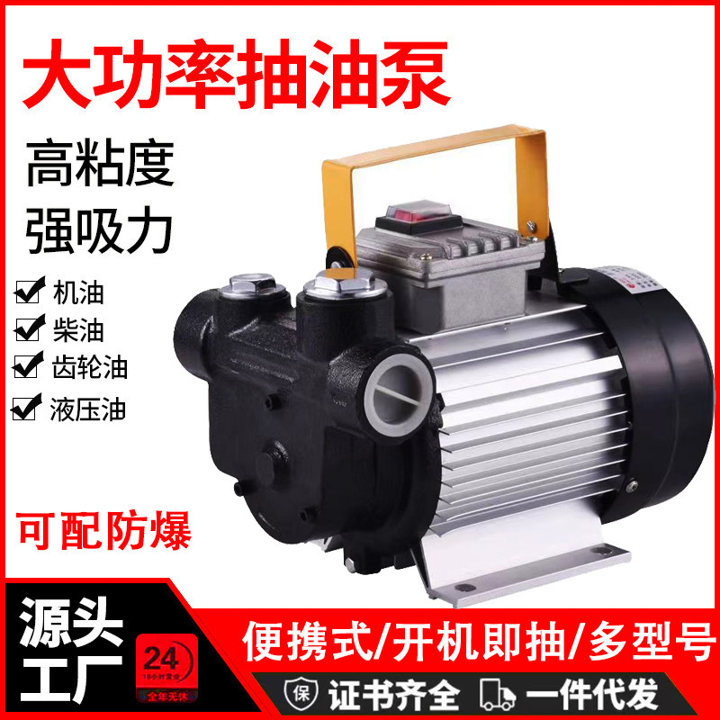 电动抽油泵12v24v220v大流量大功率柴油机油小型防爆自吸式齿轮泵