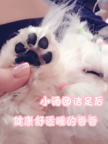 Не стирайте ноги каждый день!Уборка пены пены пены пена. Чистая стерилизация и стерилизация.