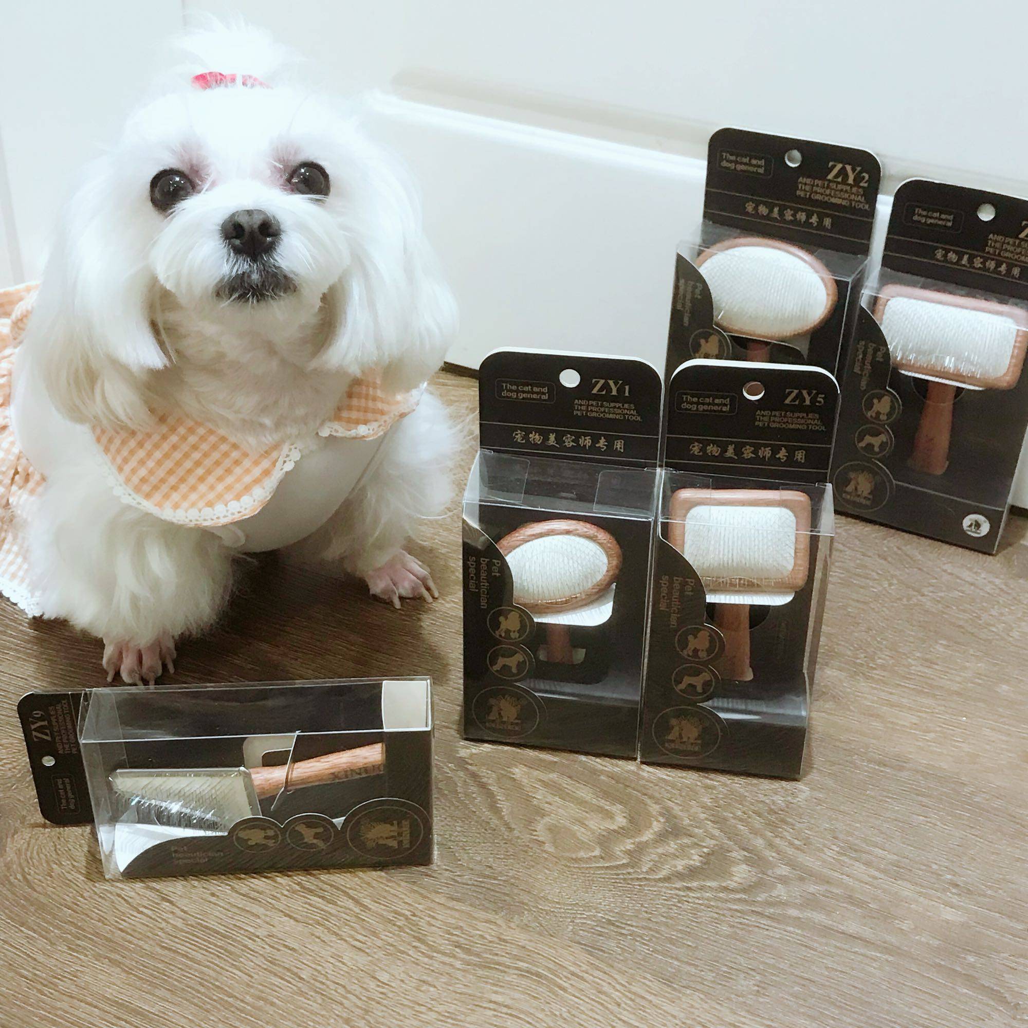 拉毛神器の气垫针头梳 宠物梳泰迪梳子比熊梳马尔济博美梳