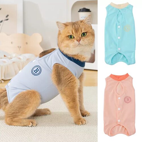 26春夏！DB狗狗包肚子衣服猫咪绝育服猫咪产后衣服手术服防舔断奶