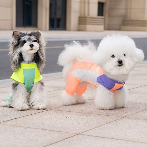 26新品！DB四腿透气网眼防蚊衫 狗狗防虫运动服雪纳瑞四脚防晒衣