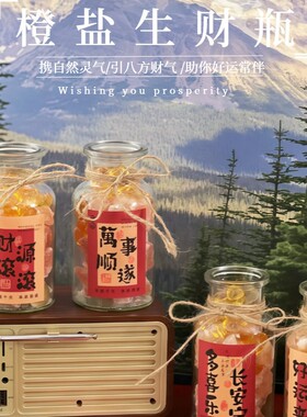 新款橙盐生财香薰摆件手工装饰客厅小众氛围感礼物高级感暴富好运