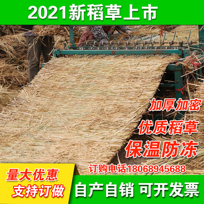 大棚保温公路养护农家屋顶稻草帘