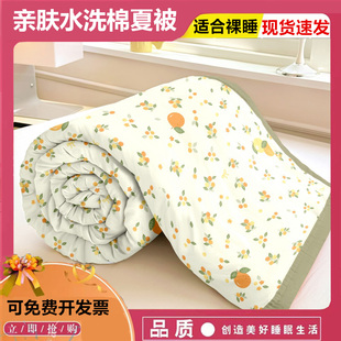单人被子学生宿舍薄款 夏凉被空调被水洗棉夏季 小清新被芯双人被褥