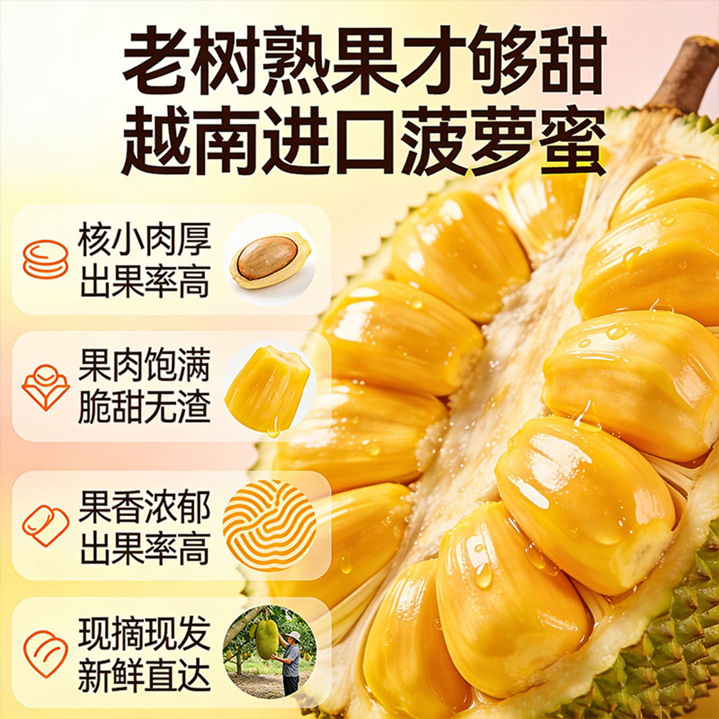 【坏果包赔】越南菠萝蜜一整个包邮干苞脆甜当季新鲜水果木波罗蜜