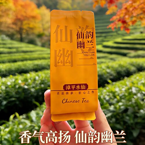 漳平水仙2025年秋茶仙韵幽兰兰花香乌龙茶紧压茶水仙茶高香乌龙茶