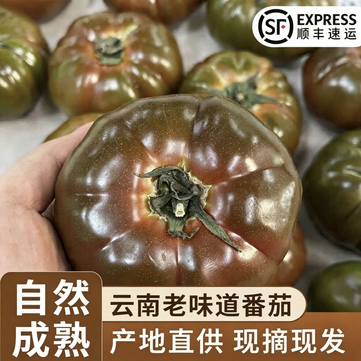 云南老味道黑番茄自然成熟沙瓤番茄现摘新鲜水果蔬菜顺丰产地直发