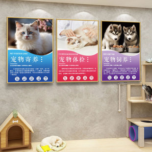 宠物店装饰动物美容宣传背景墙医院诊所挂画猫狗护理知识科普壁画