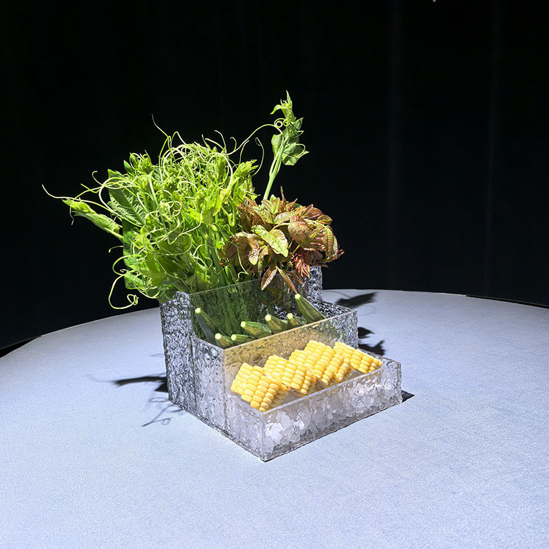 长方形单层三层亚克力透明海鲜火锅店餐具蔬菜盒子蔬菜拼盘姿造