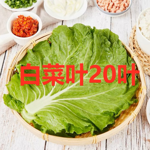 现摘现发饭包白菜叶东北绿色打饭包大白菜叶子包饭蔬菜包邮免运费