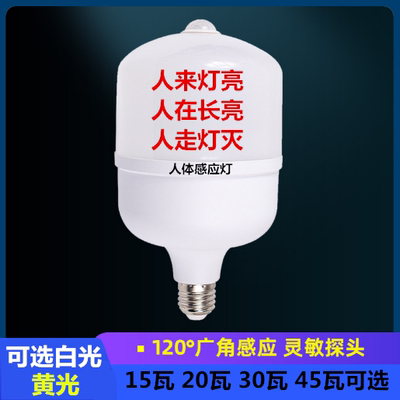 220V红外线感应人体感应灯