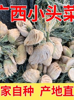 广西头菜圆头头菜大头菜农家手工新鲜腌制芥菜咸菜疙瘩下饭菜促销