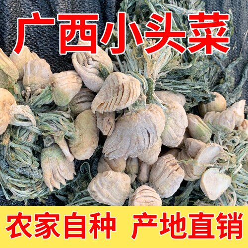 广西头菜圆头头菜大头菜农家手工新鲜腌制芥菜咸菜疙瘩下饭菜促销