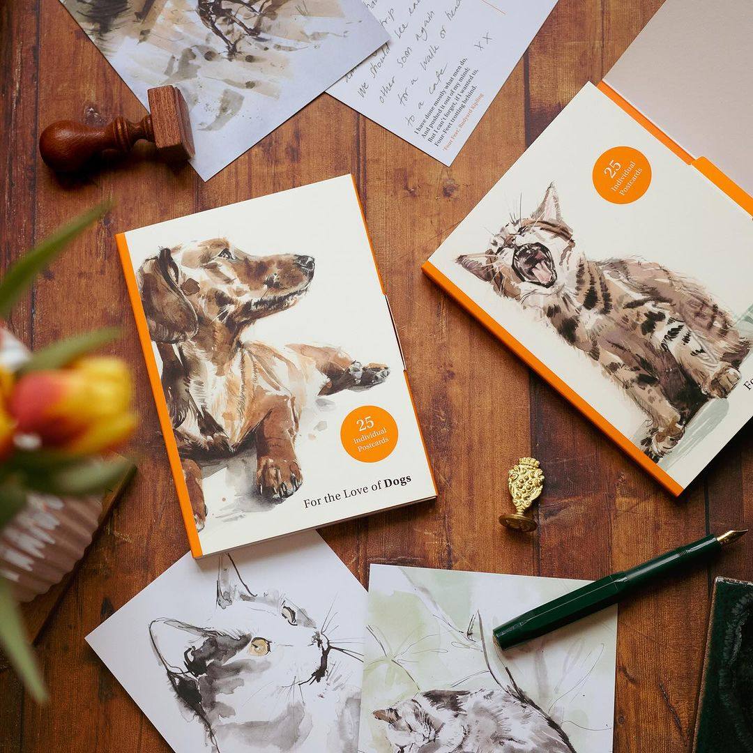 官方授权 猫之爱/心爱犬 25张插画艺术明信片套装 生日礼物英国购