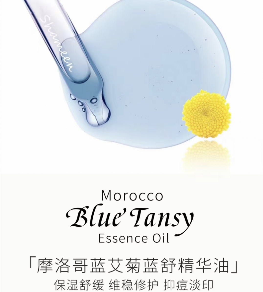 蓝艾菊修屏障精华油基底养护焕活