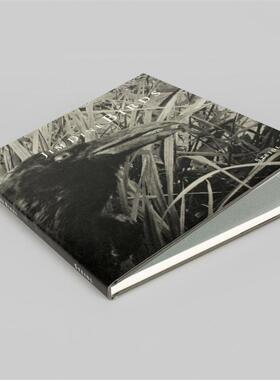 预售 Jim Dine Birds 吉姆戴恩：鸟 Steidl 英文进口原版摄影画册 华源时空