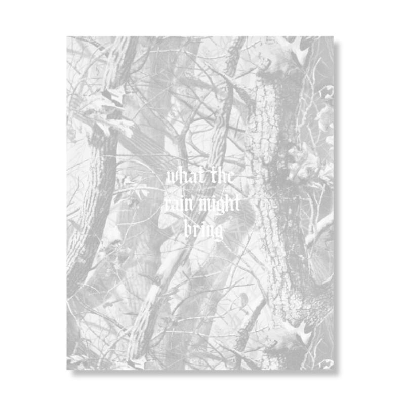 DylanHausthorWhattheRain