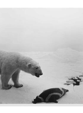 现货 杉本博司 摄影集 Hiroshi Sugimoto: Dioramas 法文原版 杉本博司摄影集 透视画馆 值得收藏华源时空
