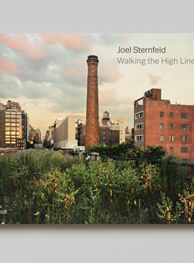 预售85天 乔尔斯坦菲尔德 Joel Sternfeld: Walking The High Line: Revised Edition 英文原版摄影集书籍华源时空 Steidl