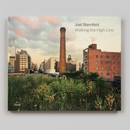 现货 乔尔斯坦菲尔德 Joel Sternfeld: Walking The High Line: Revised Edition 英文原版摄影集书籍华源时空 Steidl