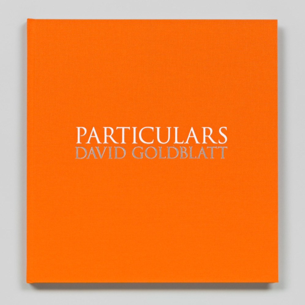 DavidGoldblattParticulars