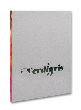 预售 Paul Graham Verdigris / Ambergris 保罗格雷厄姆 进口原版摄影画册 华源时空