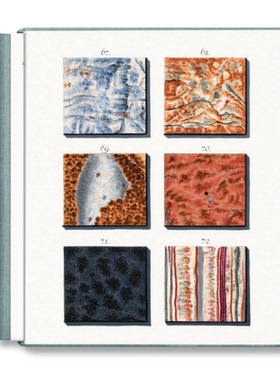 预售 Jan Christiaan Sepp. The Book Of Marble 大理石之书  TASCHEN 英文原版进口