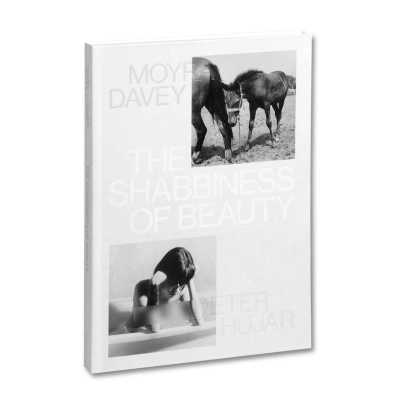 TheShabbinessofBeauty